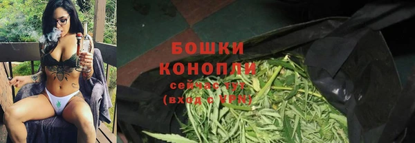 2c-b Богородицк